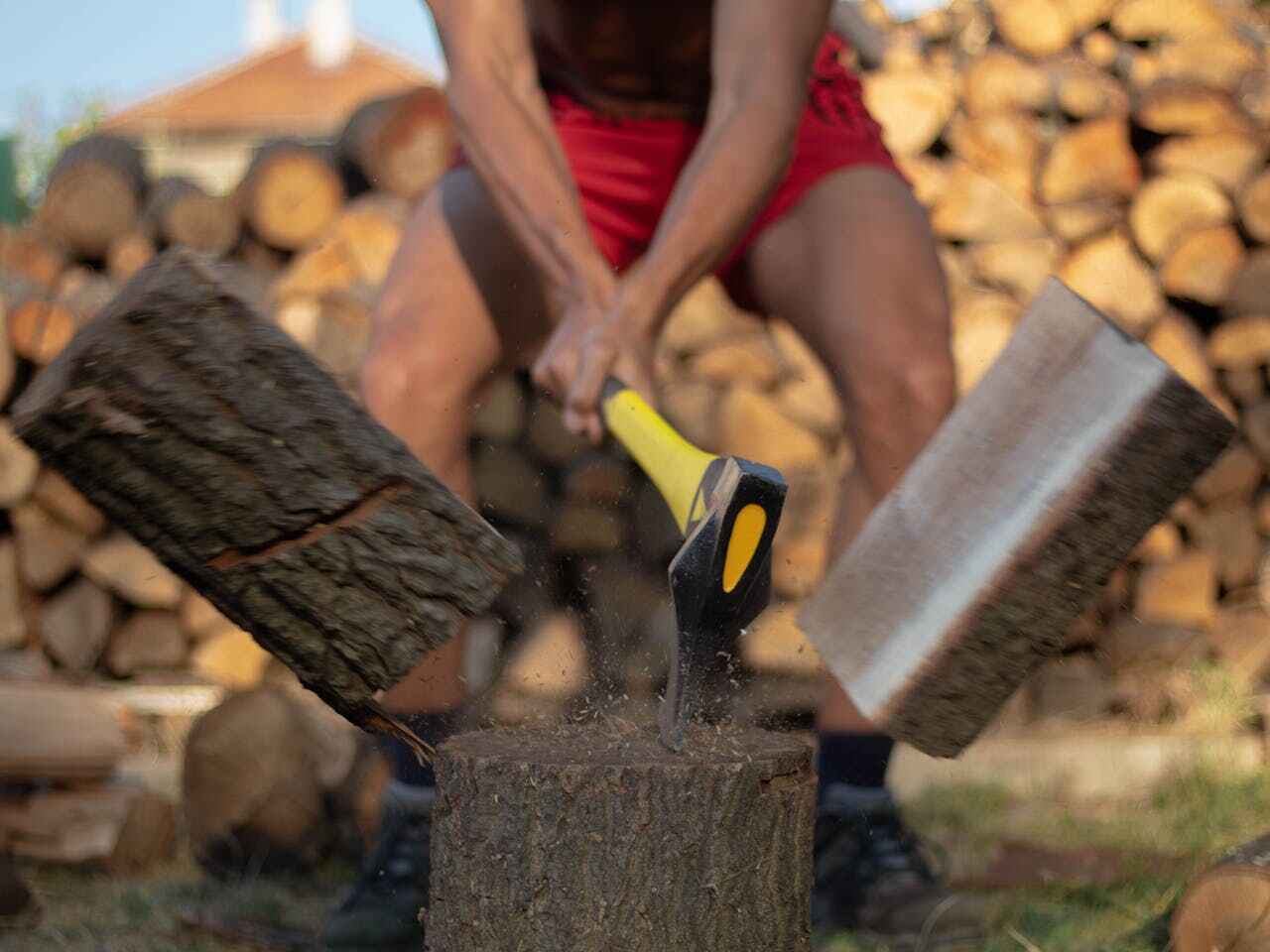 The Steps Involved in Our Tree Care Process in Jacinto City, TX